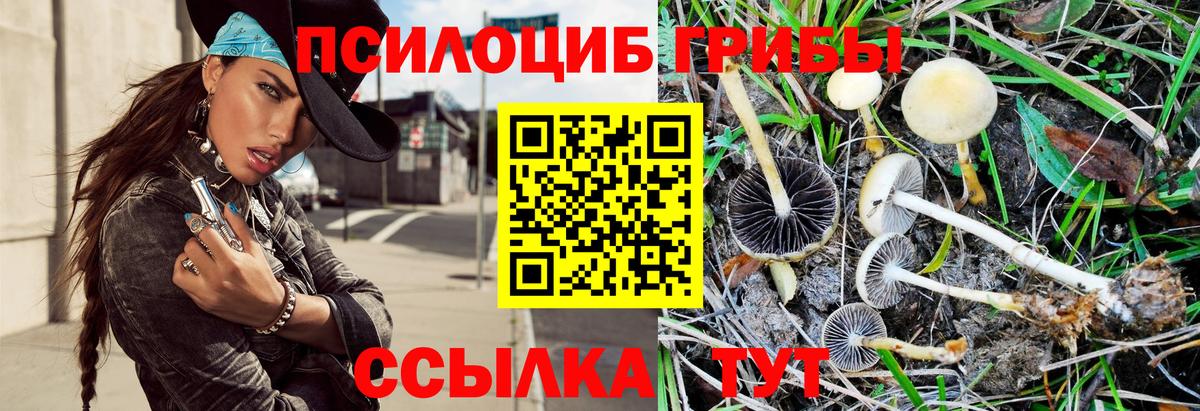 Галлюциногенные грибы Cubensis Коряжма