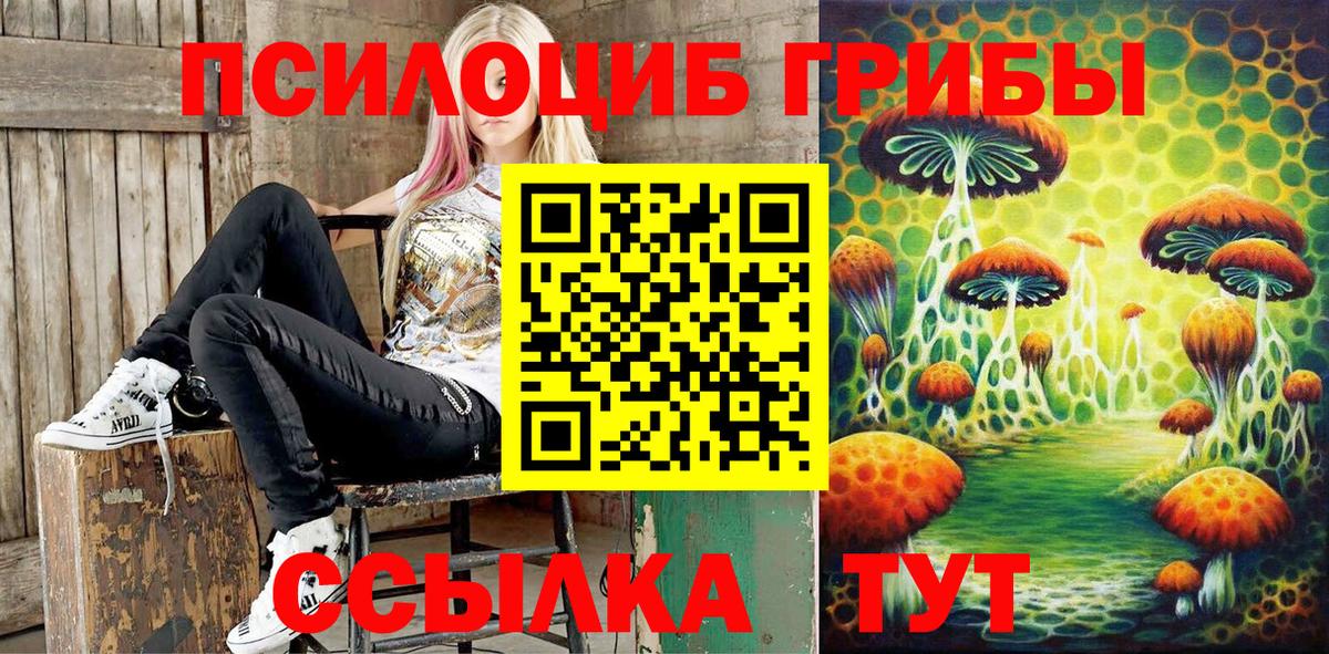 где найти   Псилоцибиновые грибы Cubensis  Вход с VPN  Коряжма 